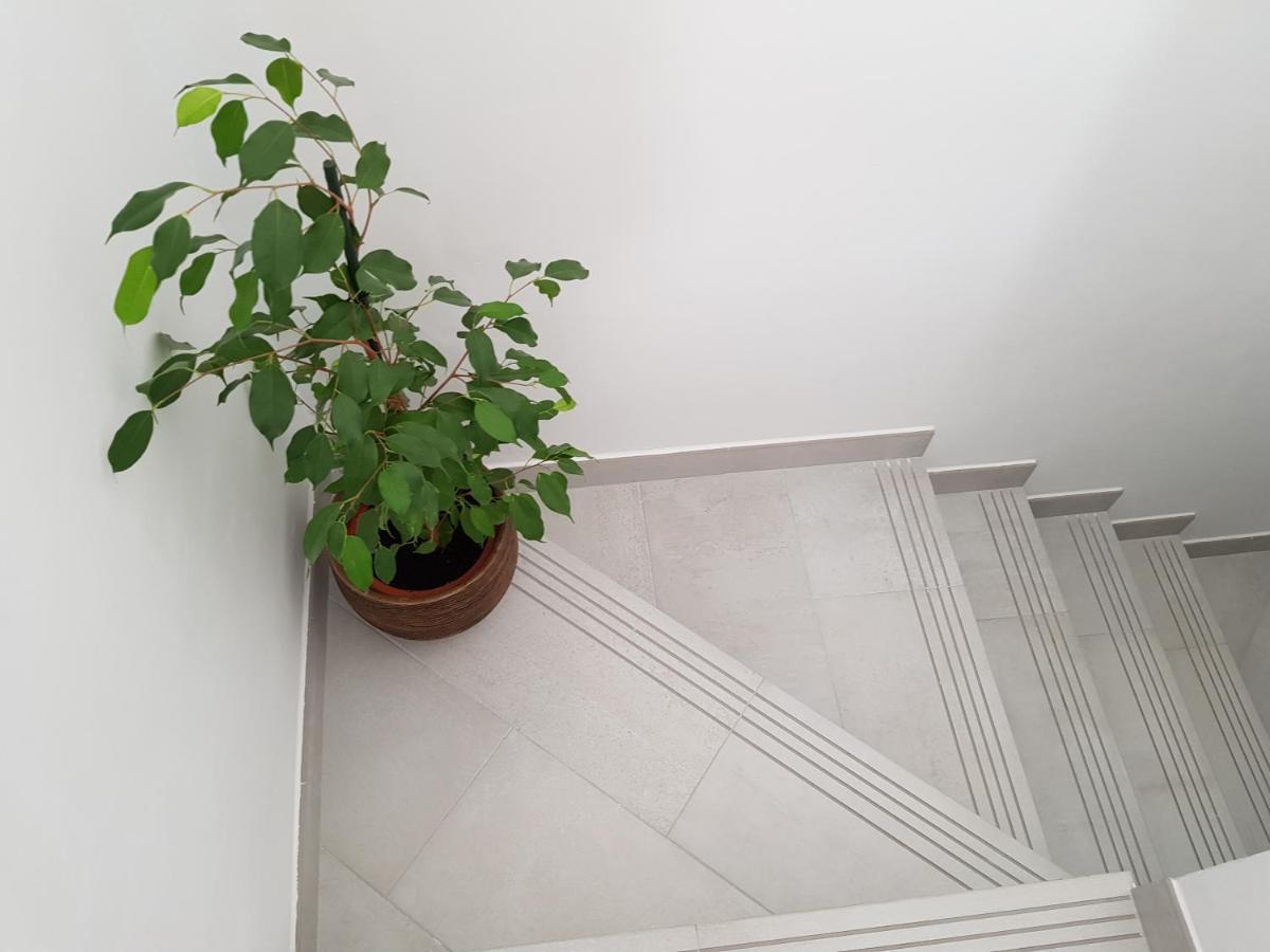 Loft Abantos - 120M2 Mas Terraza Y Jardin Independiente San Lorenzo de El Escorial Eksteriør bilde