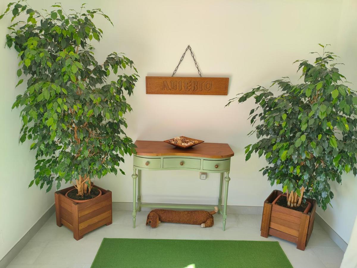 Loft Abantos - 120M2 Mas Terraza Y Jardin Independiente San Lorenzo de El Escorial Eksteriør bilde